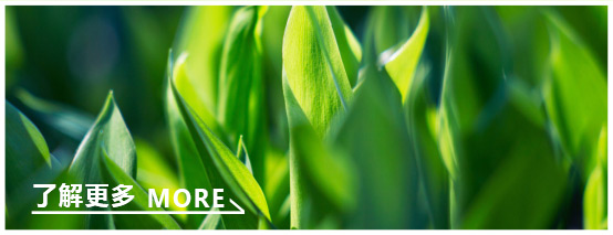 了解更多无机水涂料